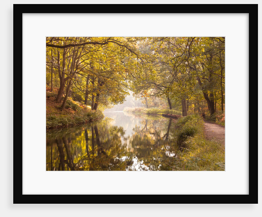 Basingstoke canal by Assaf Frank